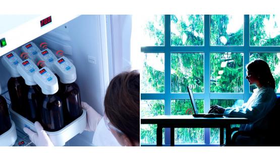 DBO y respirometría