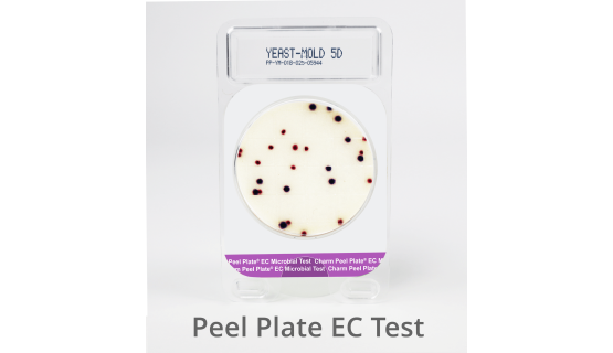 Placa E.coli